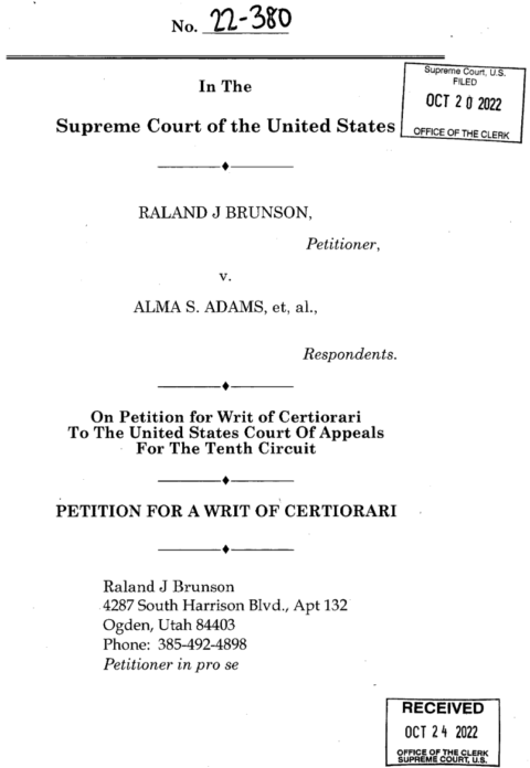 US Supreme Court on Congressional Treason – Brunson v Adams