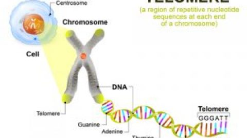 C60 Health Research page announcement