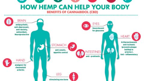 CBD Health Benefits Part 2 page announcement