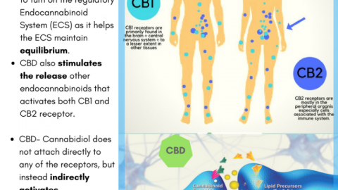 CBD and other Cell Receptor Sites page announcement