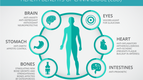 CBD Health Benefits Part 1 page announcement