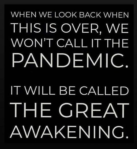 Coronavirus COVID-19 Pandemic or Awakening?