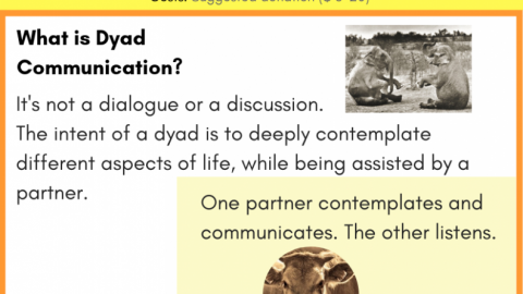 Dyad Communication Practice in Albuquerque – Sat 9 Feb 2019 – 10am