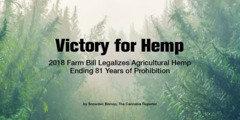 Hemp Industry page announcement