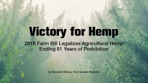 Hemp Industry page announcement