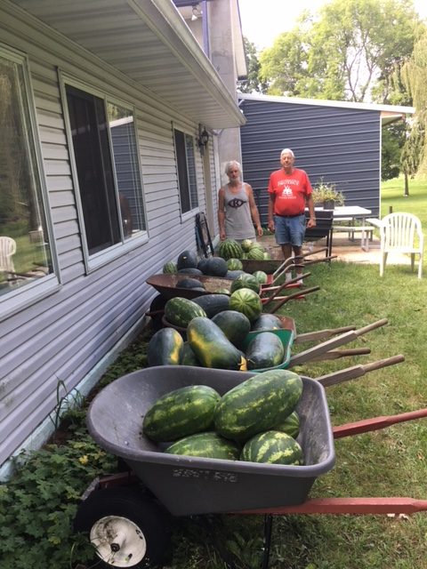 bumpityWatermelons7wheelbarrows