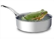 frogBoiling