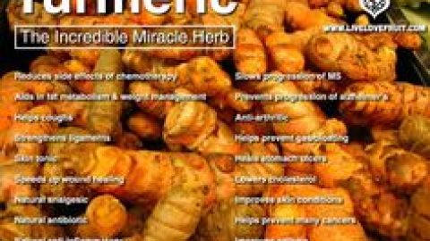 Turmeric – An Exotic Herb and its Amazing Health Benefits – Wed 4 Oct 2017 – 6:30pm