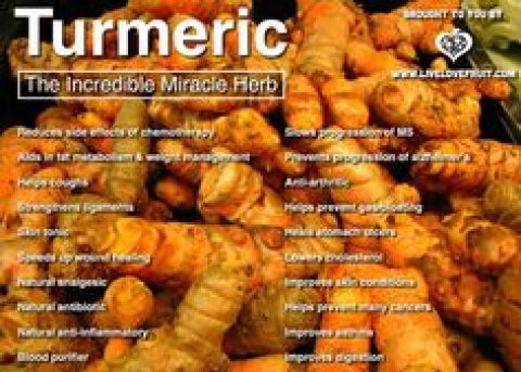 Turmeric – An Exotic Herb and its Amazing Health Benefits – Wed 4 Oct 2017 – 6:30pm