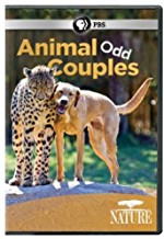 vv20190619-2AnimalOddCouples