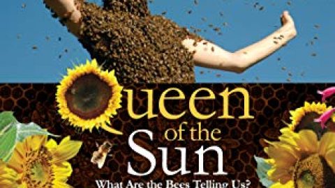 Queen of The Sun:  What are The Bees telling us ? + (part of) The Real Dirt on Farmer John – Wed 17 Jul 2019 – 7pm