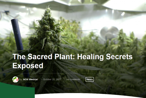 The Sacred Plant:  Healing Secrets Exposed – Wed 18 Sep 2019 – 7pm
